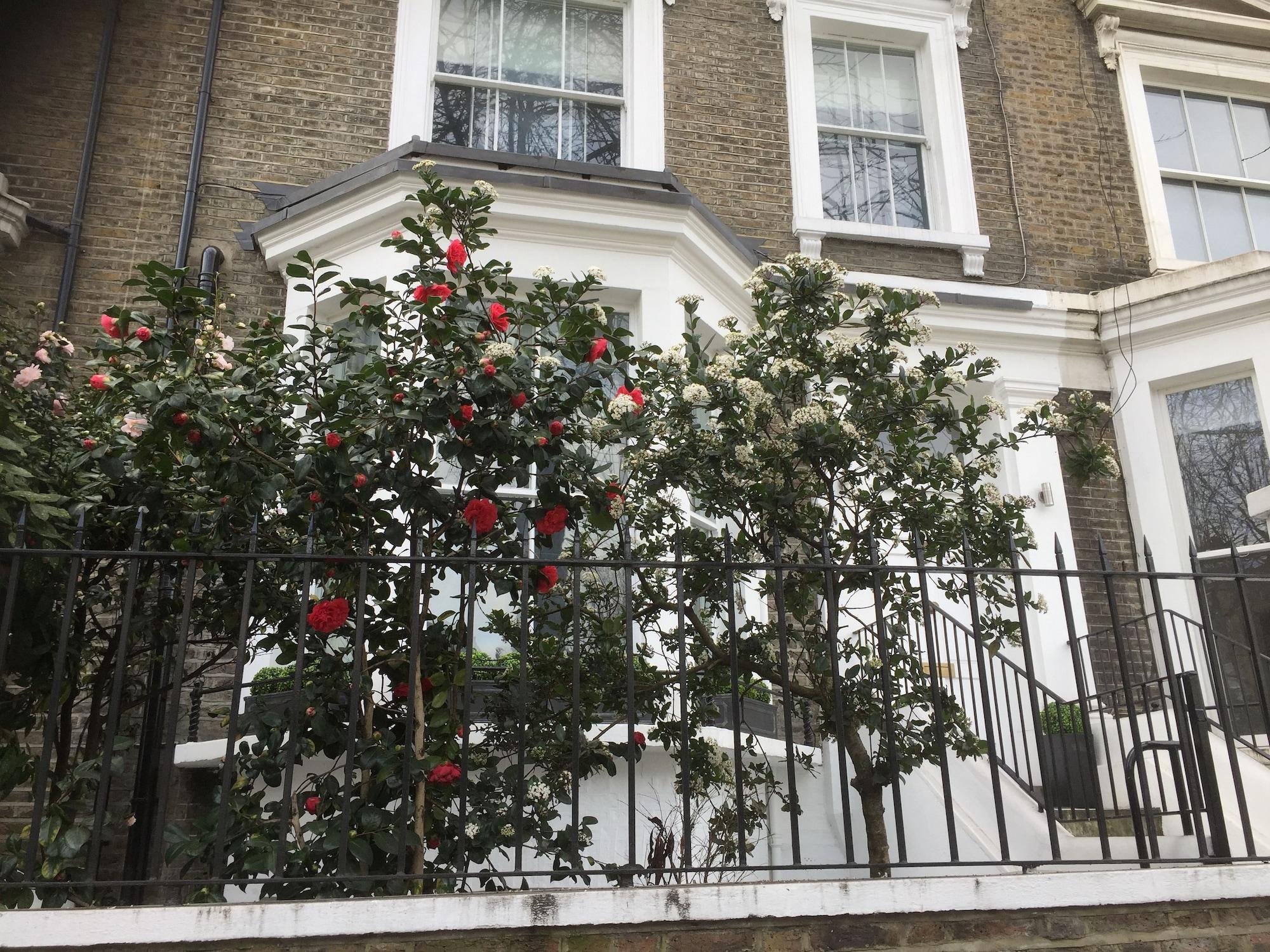 Luxurious Apartment In Kensington & Chelsea London Exteriör bild